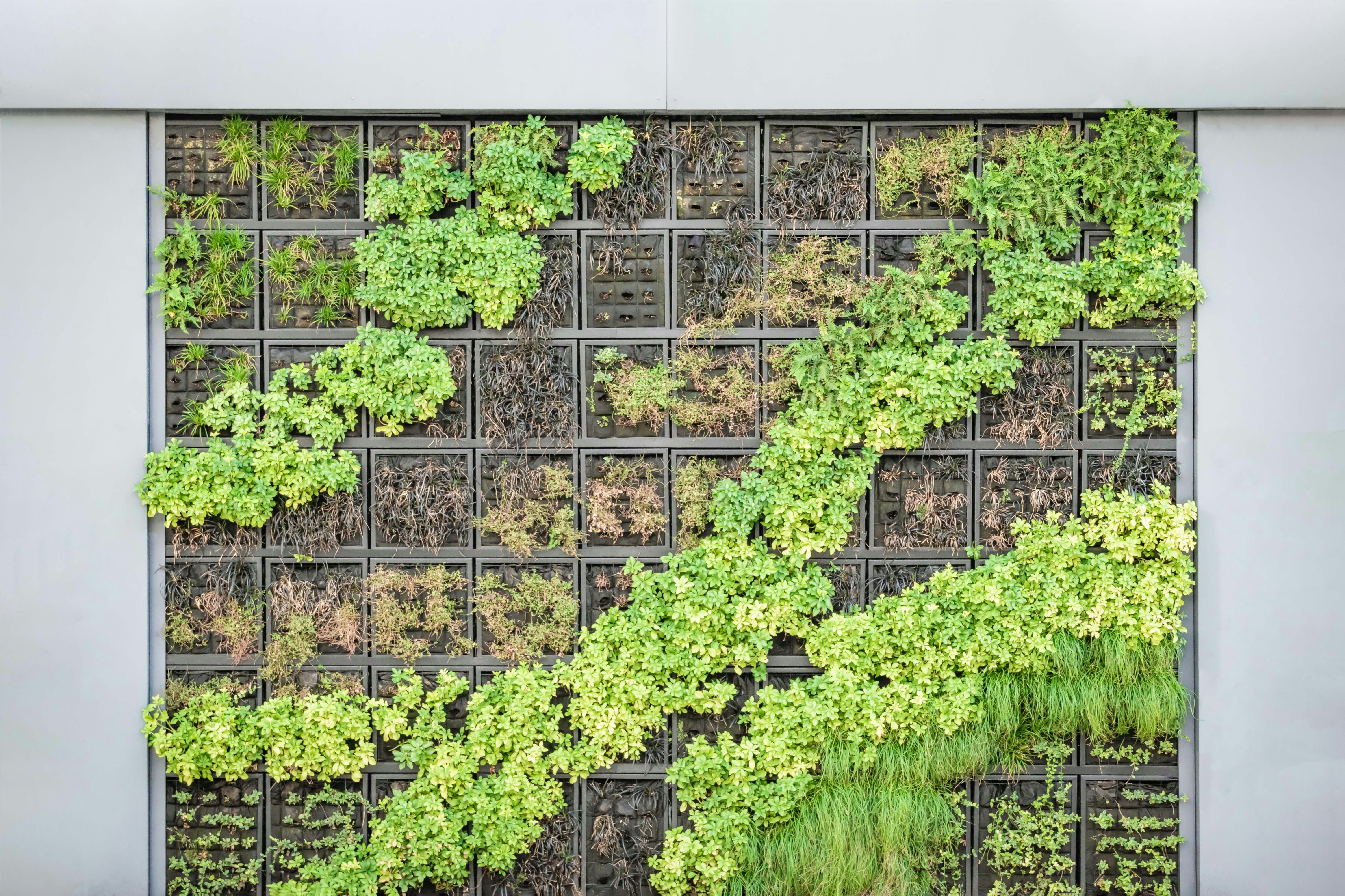 🌿 Vertical Garden Planter